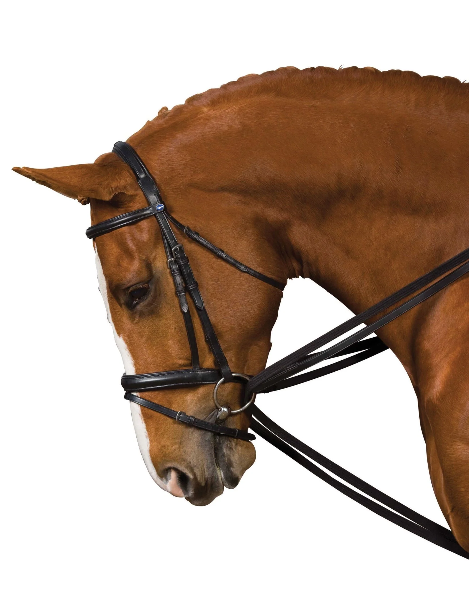 Kincade Leather Draw Reins - Healthber