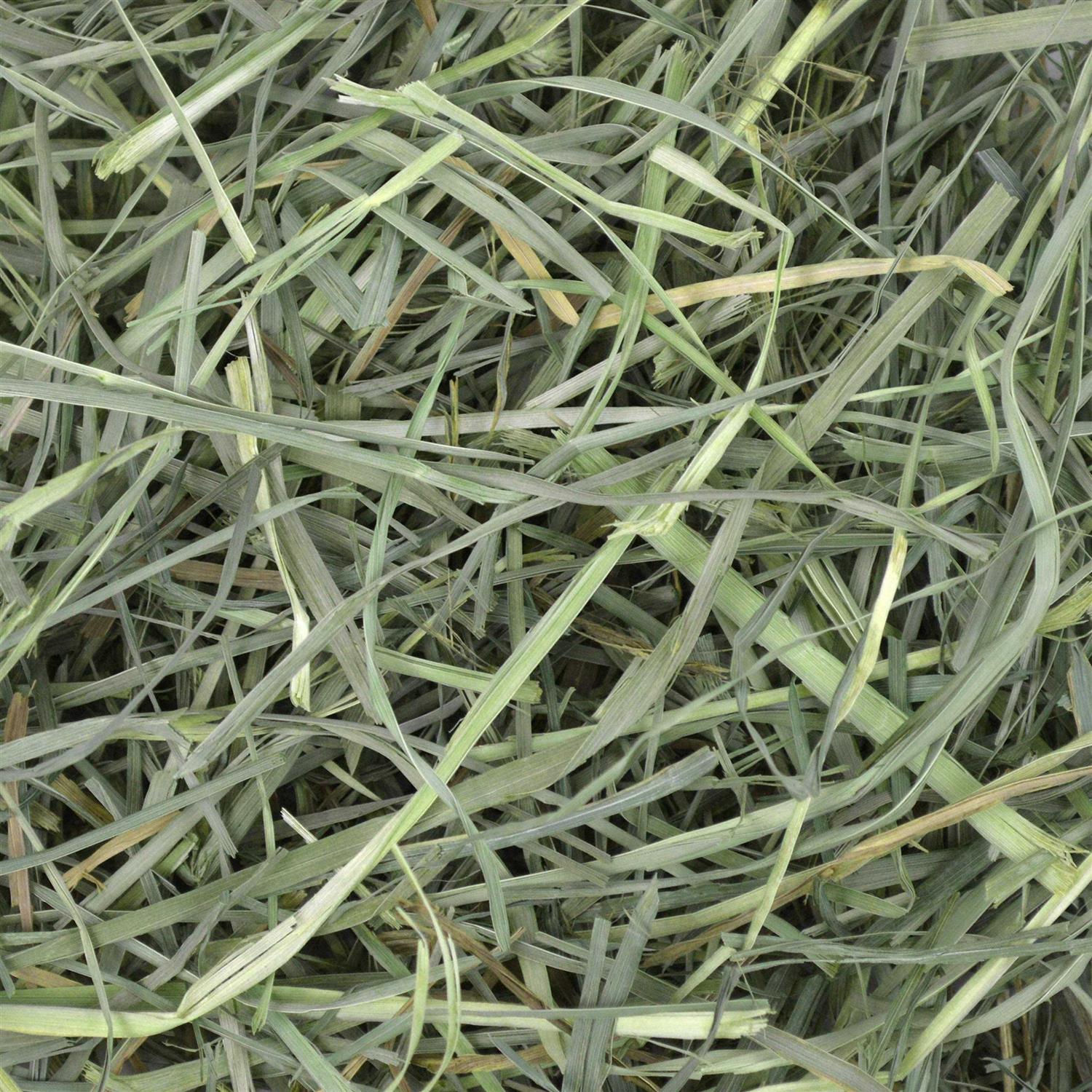 Oxbow Animal Health Orchard Grass Hay - Healthber
