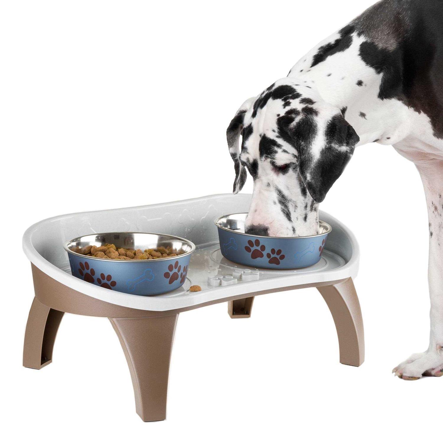 Petmaker Elevated Pet Feeding Tray with Splash Guard and Non-Skid Feet - Healthber