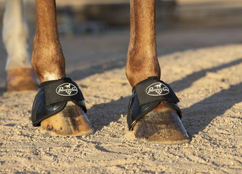 Professional's Choice Spartan II Bell Boots - Healthber
