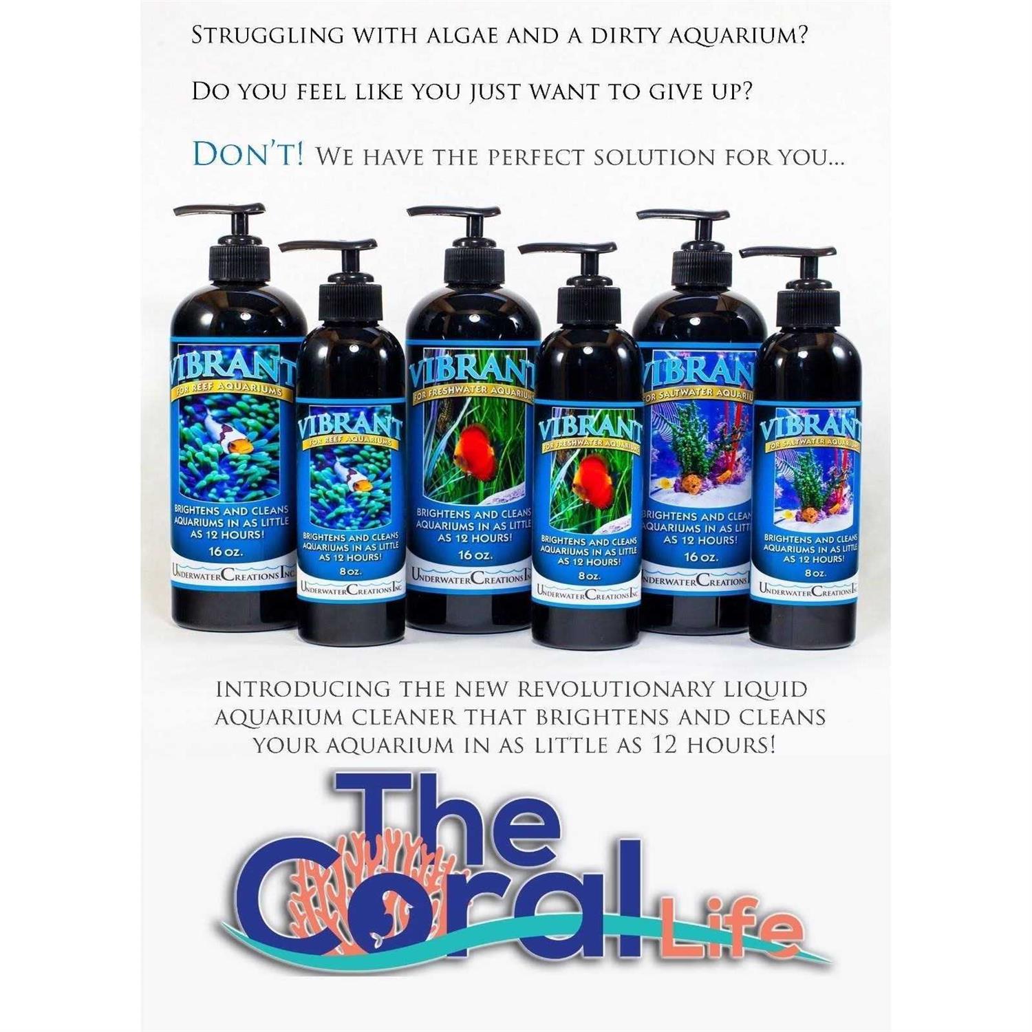 Vibrant For Saltwater Aquariums - Healthber