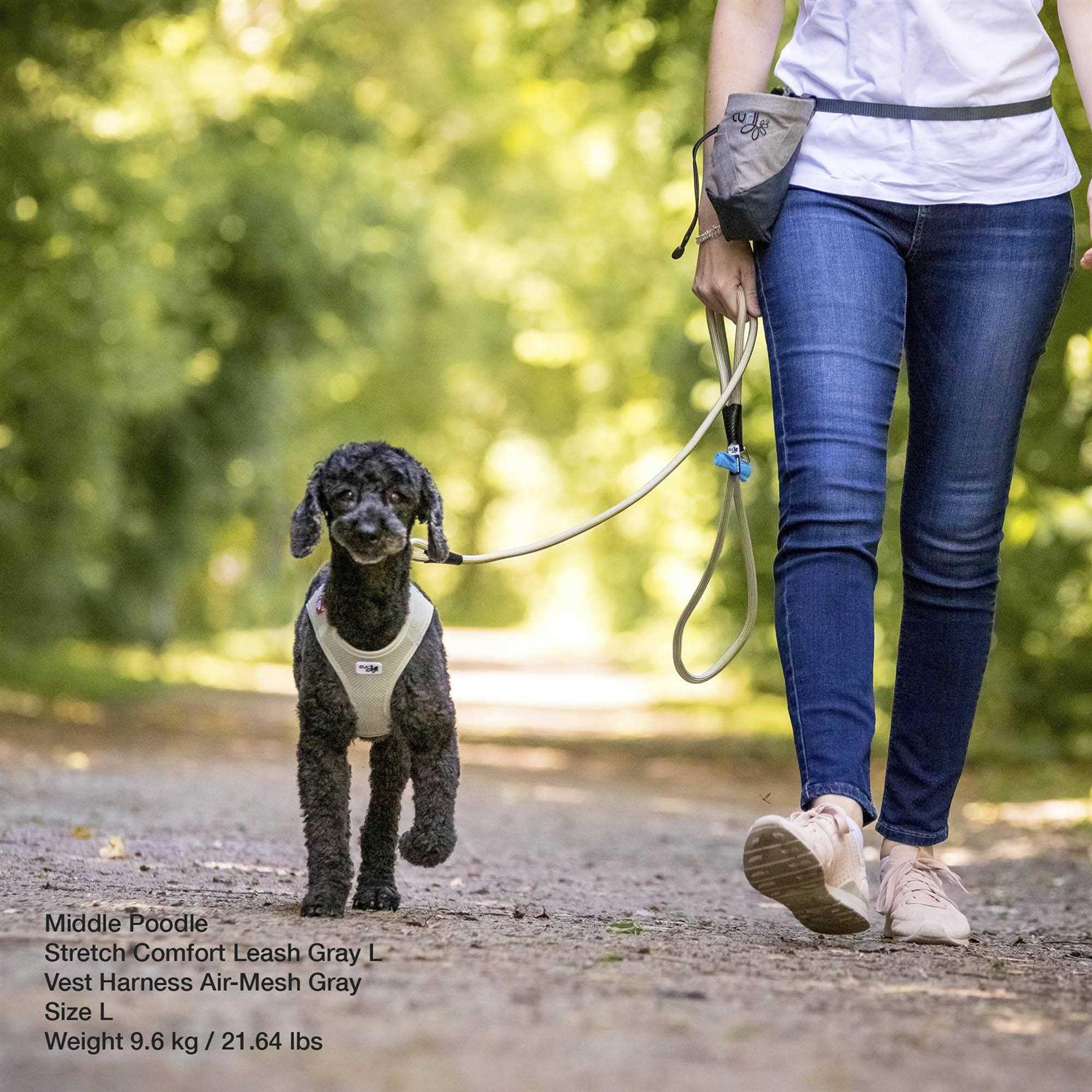 Curli Stretch Comfort Leash - Healthber