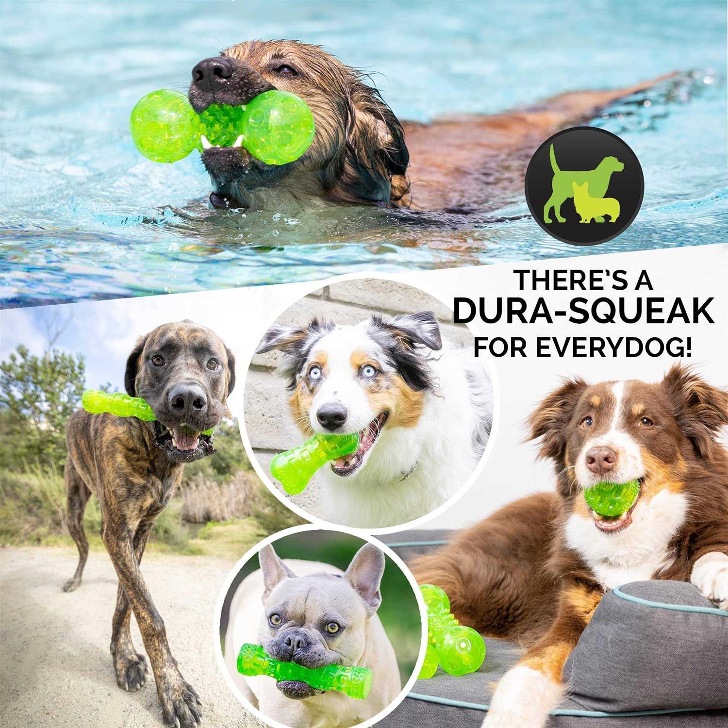 Hyper Pet Dura-Squeaks Dog Toy Ball - Healthber
