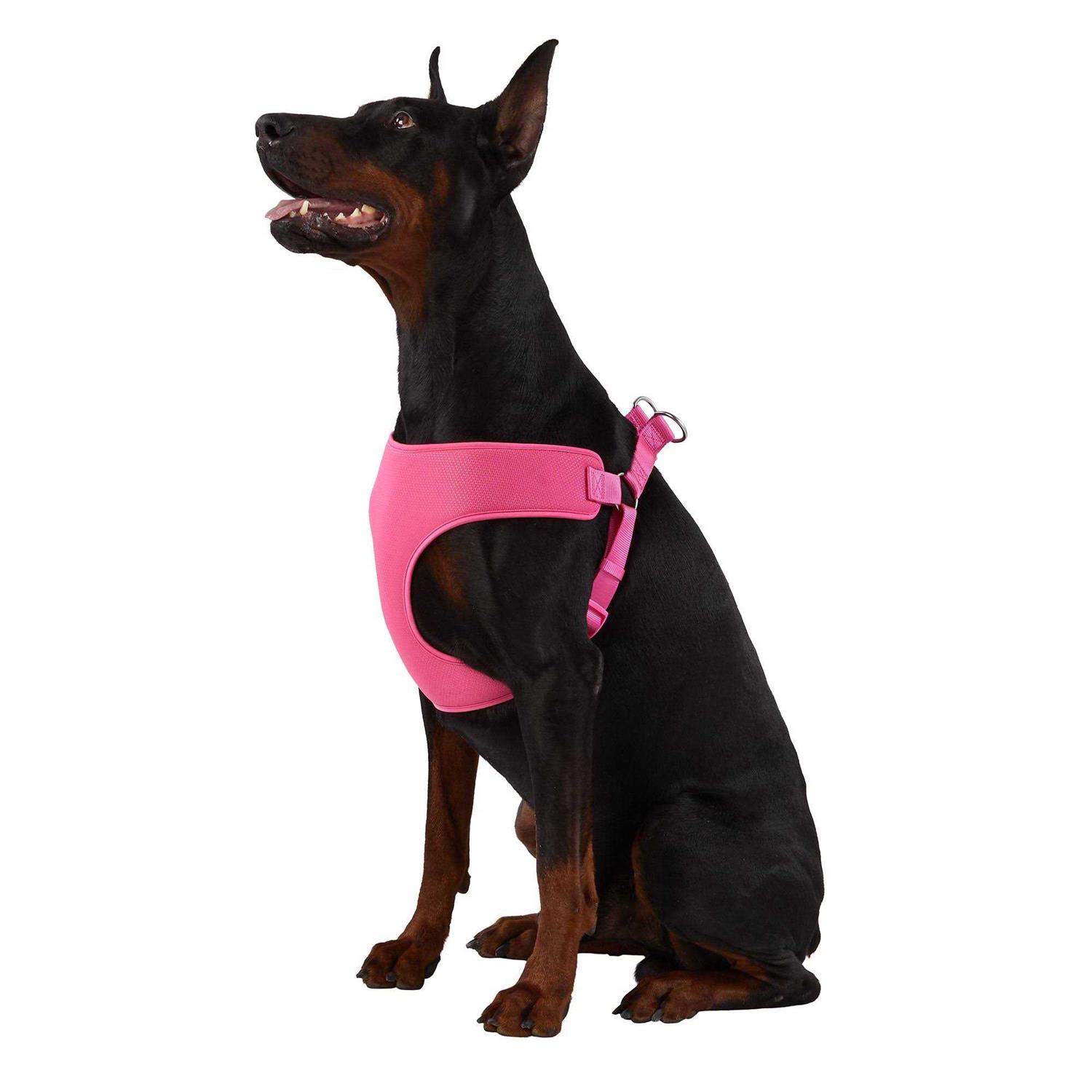 Top Paw Mesh Comfort Dog Harness - Healthber