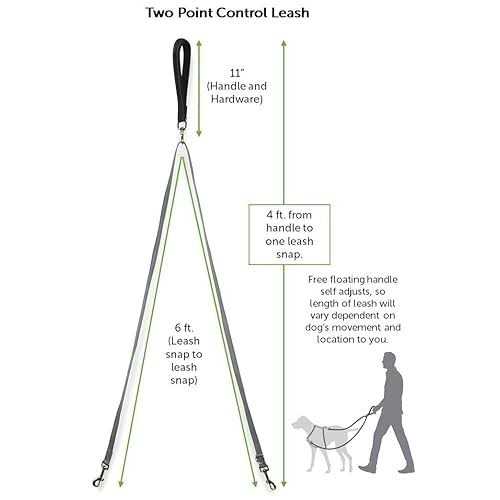 PetSafe Two Point Control Dog Leash - Healthber