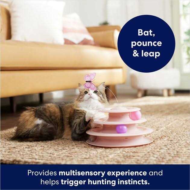Frisco Butterfly Cat Tracks Cat Toy - Healthber