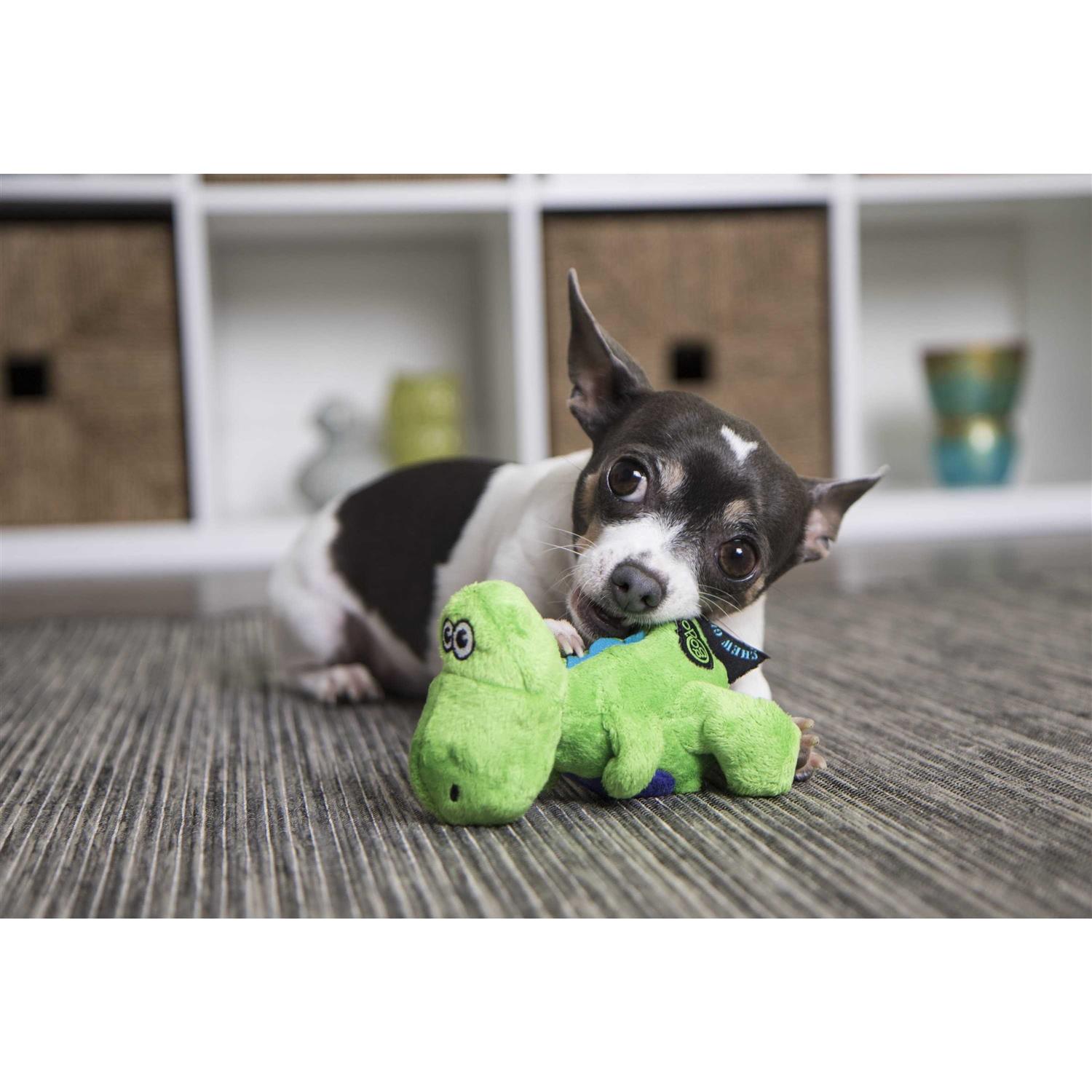 goDog Just for Me Chew Guard T-Rex Dog Toy - Healthber