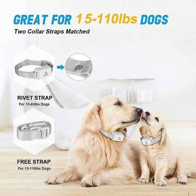 PATPET A01 Anti-Bark Training Dog Collar - Healthber
