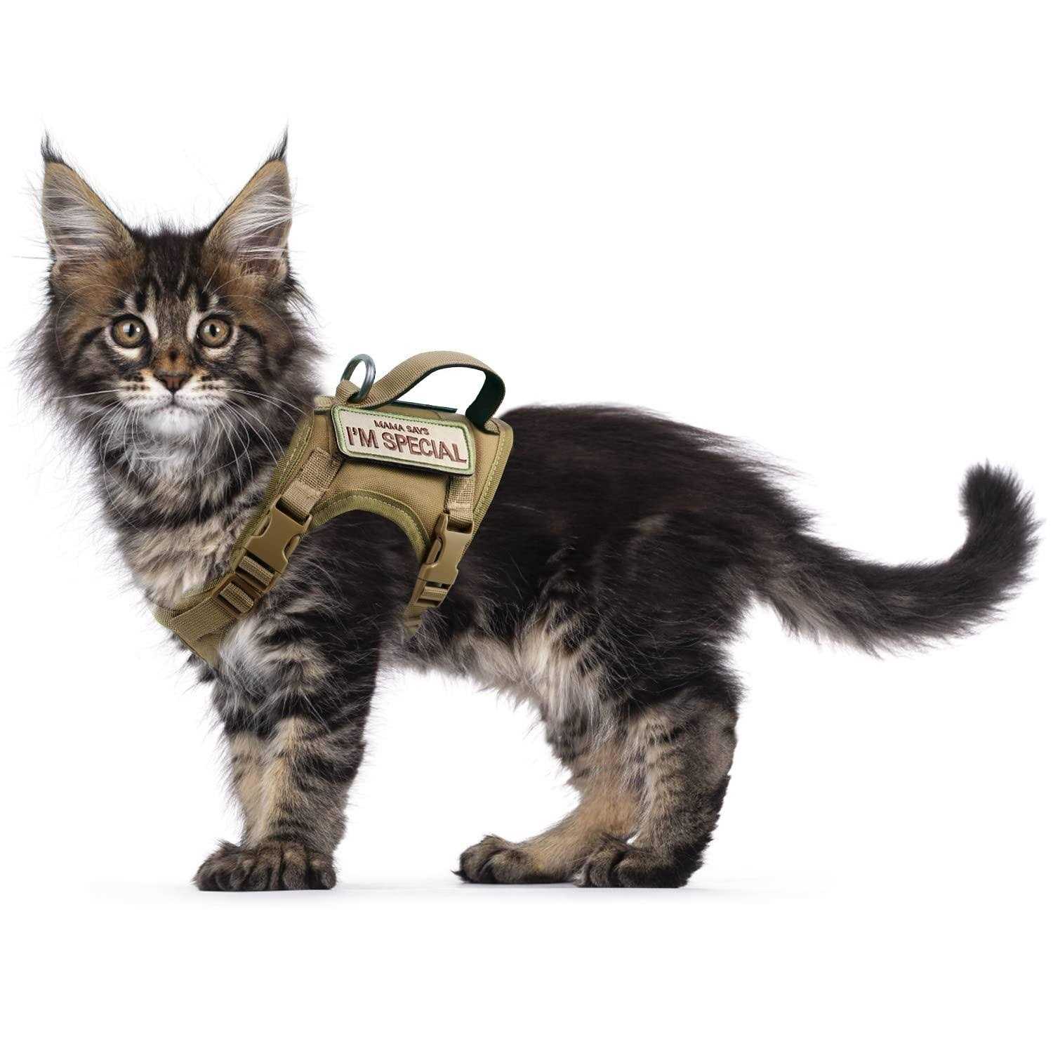 augopapa Tactical Cat Harness for Walking Escape Proof Soft Mesh Adjustable Pet Vest Harness - Healthber