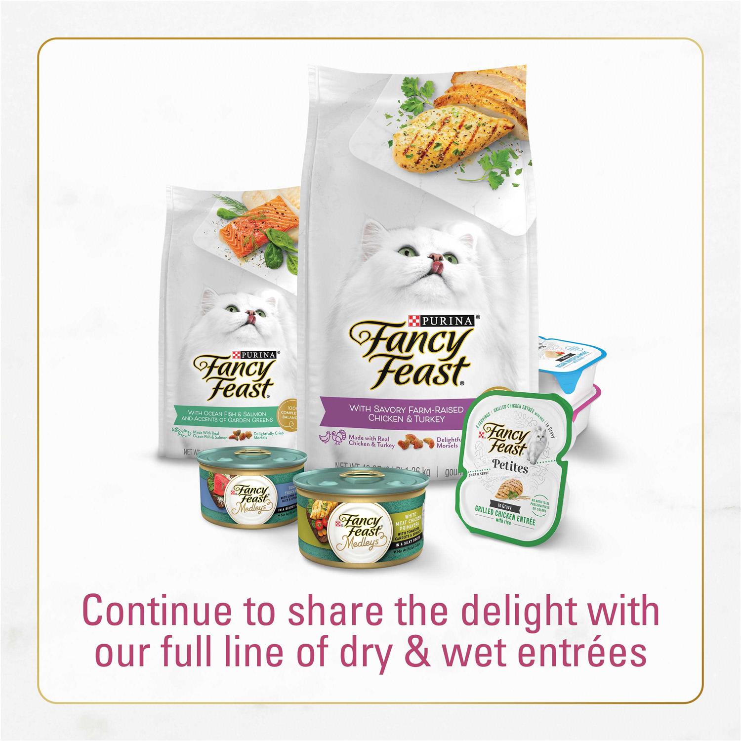 Fancy Feast Dry Cat Food Filet Mignon Flavor with Seafood & Shrimp - Healthber