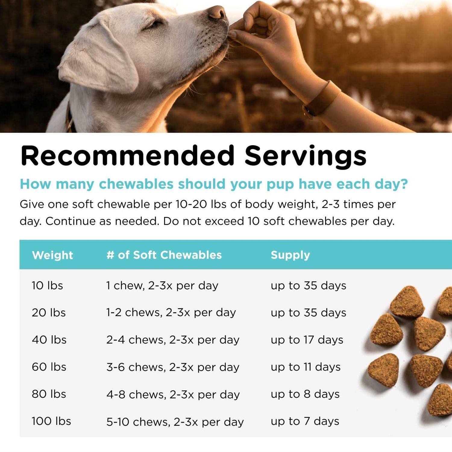 Nutri Vet Pet Ease Soft Chews for Dogs - Healthber