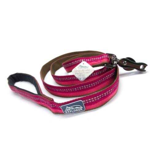 K9 Explorer Reflective Leash with Scissor Snap - Healthber