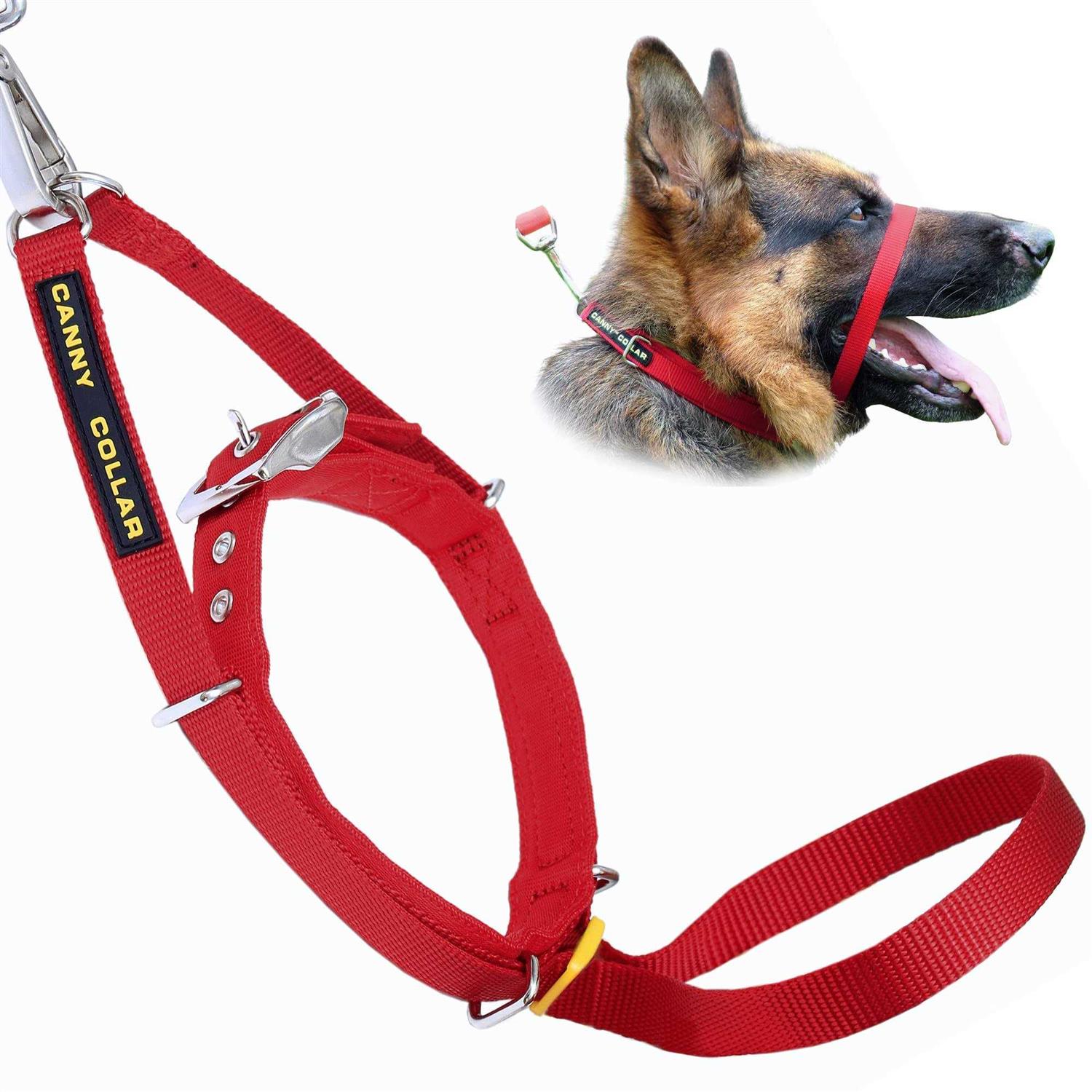Canny Collar Size 3 - Healthber