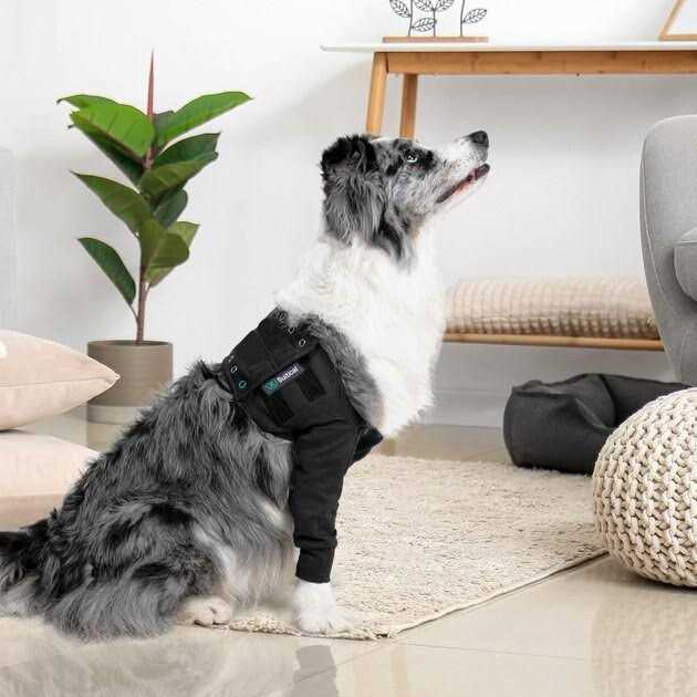 Suitical Dog Recovery Double Sleeves - Healthber