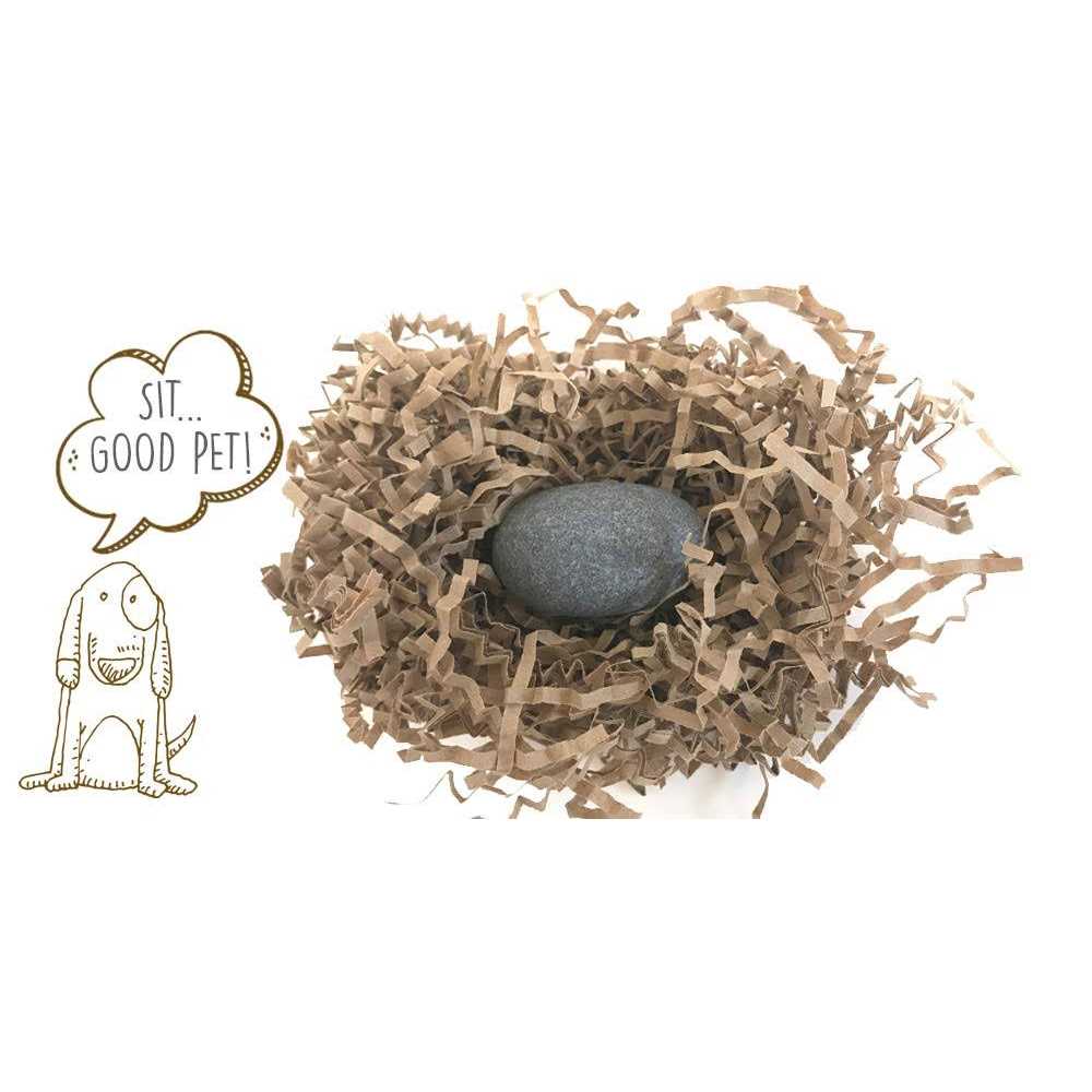 Pet Rock The Original by Gary Dahl - Healthber