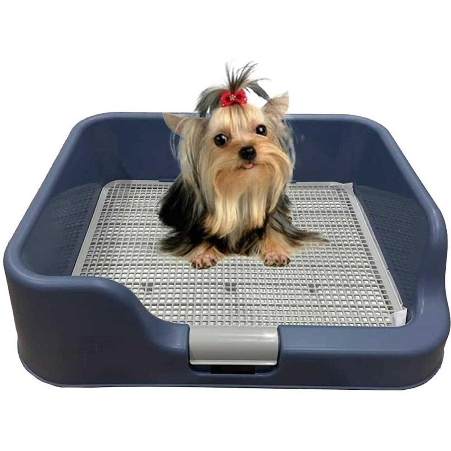 PS KOREA Indoor Dog Potty Tray with Protection Wall Every Side for No Leak, Spill, Accident - Healthber