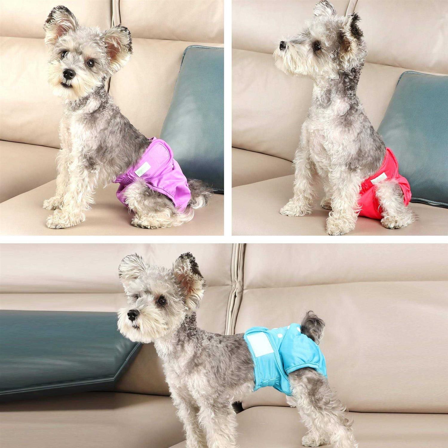 Wegreeco Luxury Washable Reusable Dog Diapers Durable Female Dog Diapers - Healthber