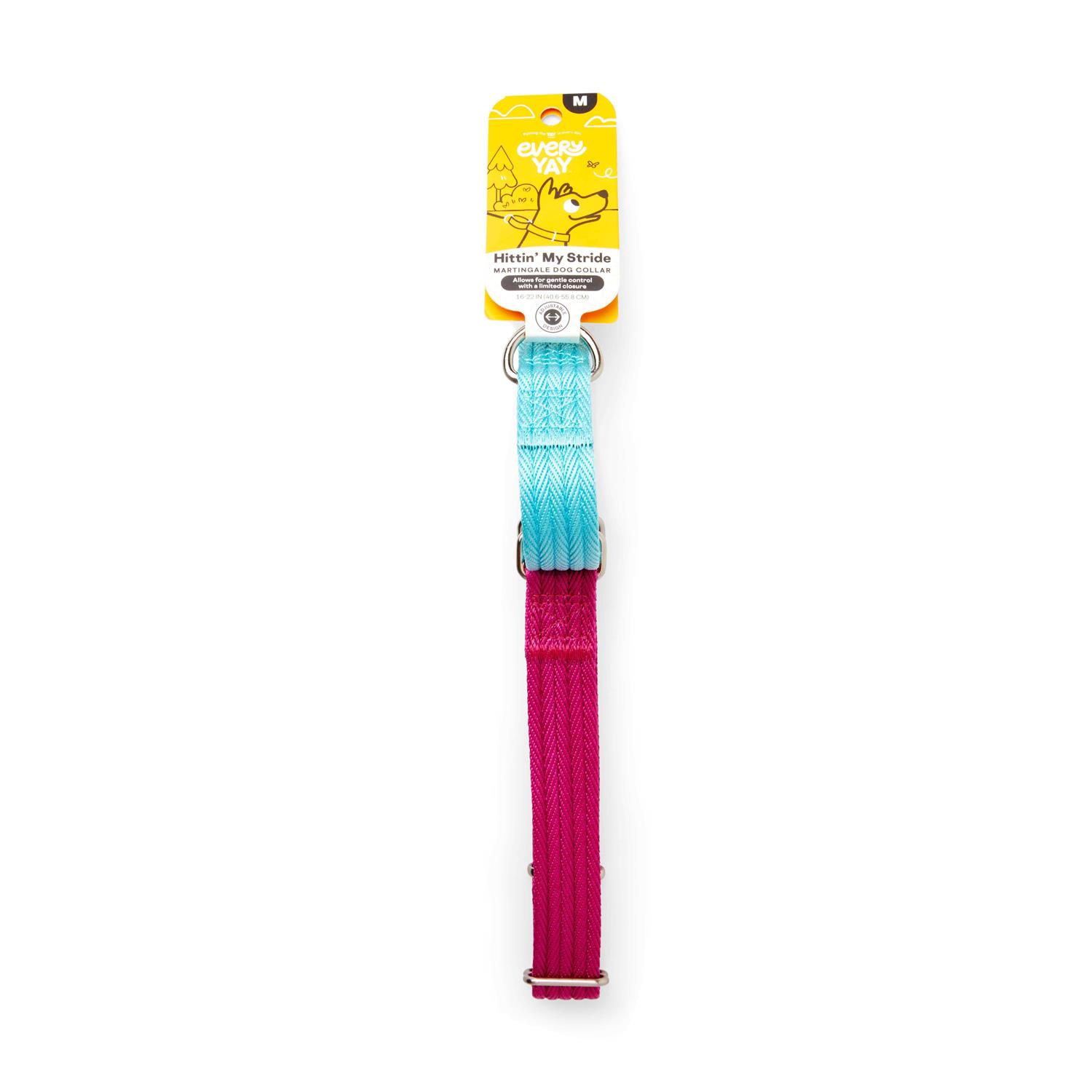 EveryYay Martingale Teal Dog Collar - Healthber