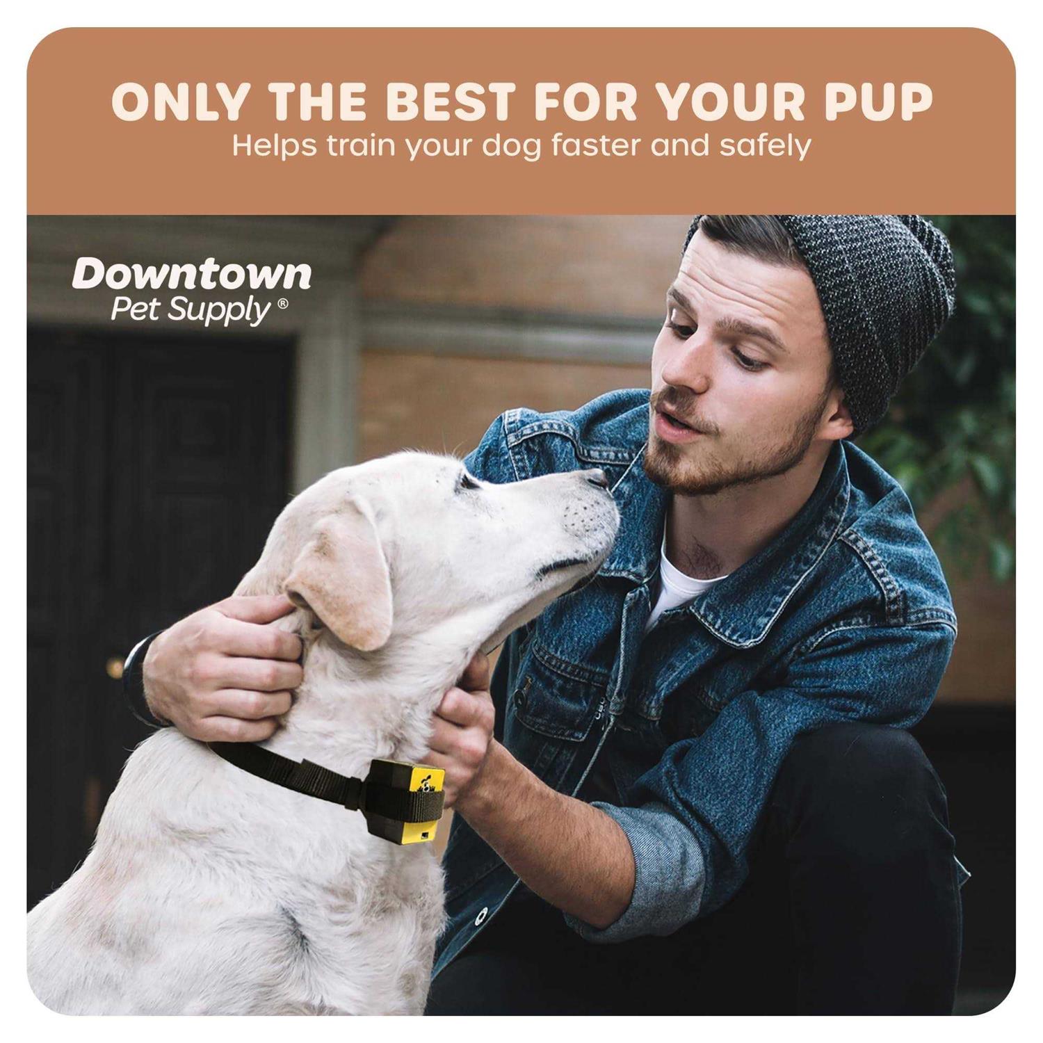 Downtown Pet Supply Citronella Bark Collar - Healthber