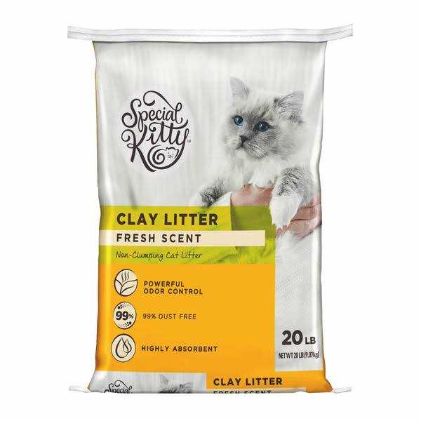 Special Kitty Fresh Scent Non-Clumping Clay Litter - Healthber