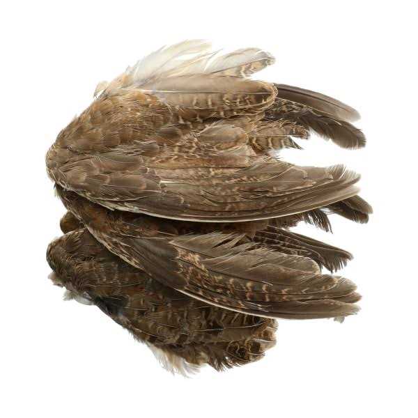 Classic T Designs Quail Wings 6 Pk - Healthber