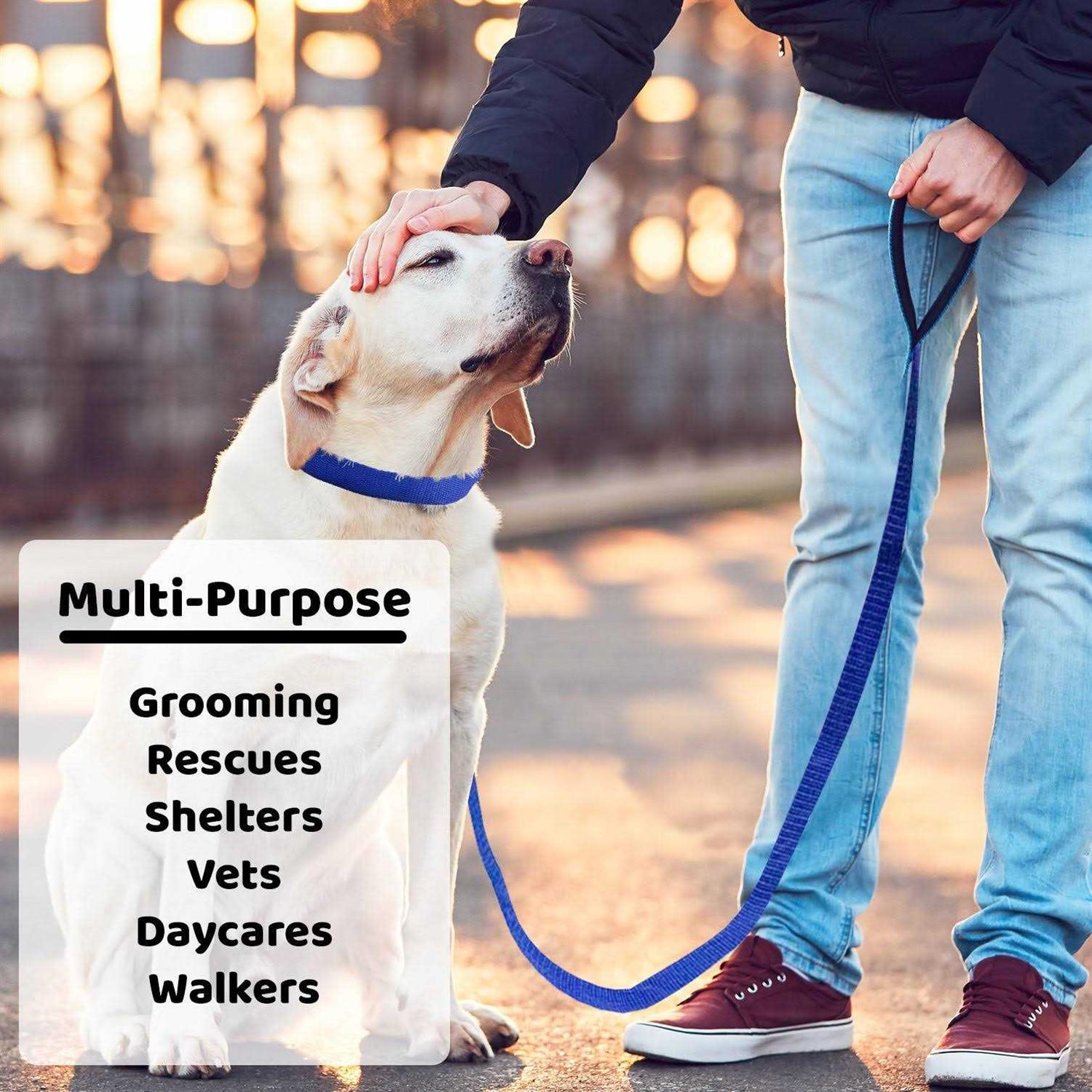 Downtown Pet Supply Dog Slip Lead Dog Leash - Healthber