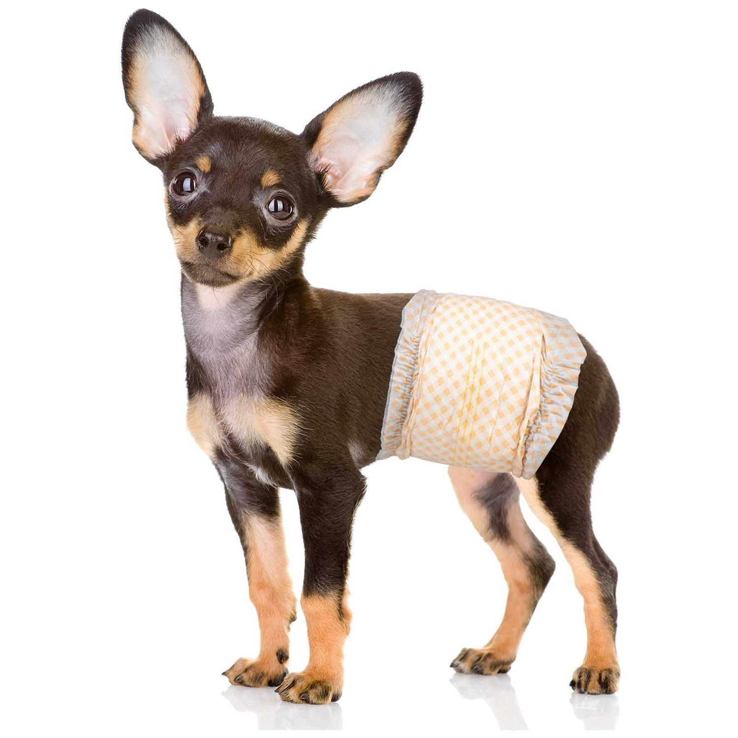 Pet Soft Disposable Male Dog Wraps Dog Diapers for Male Dogs - Healthber