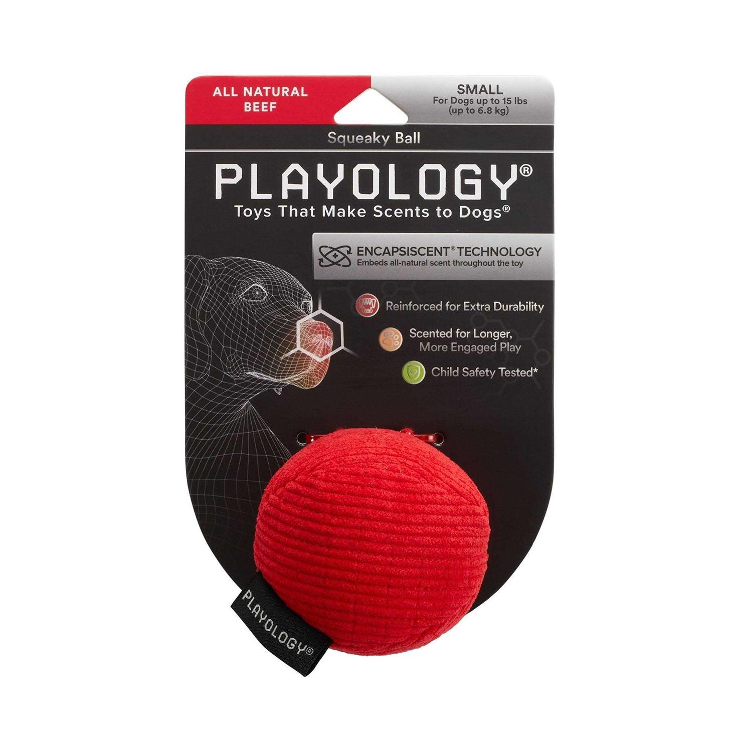 Playology Plush Ball Scented Dog Toy - Healthber