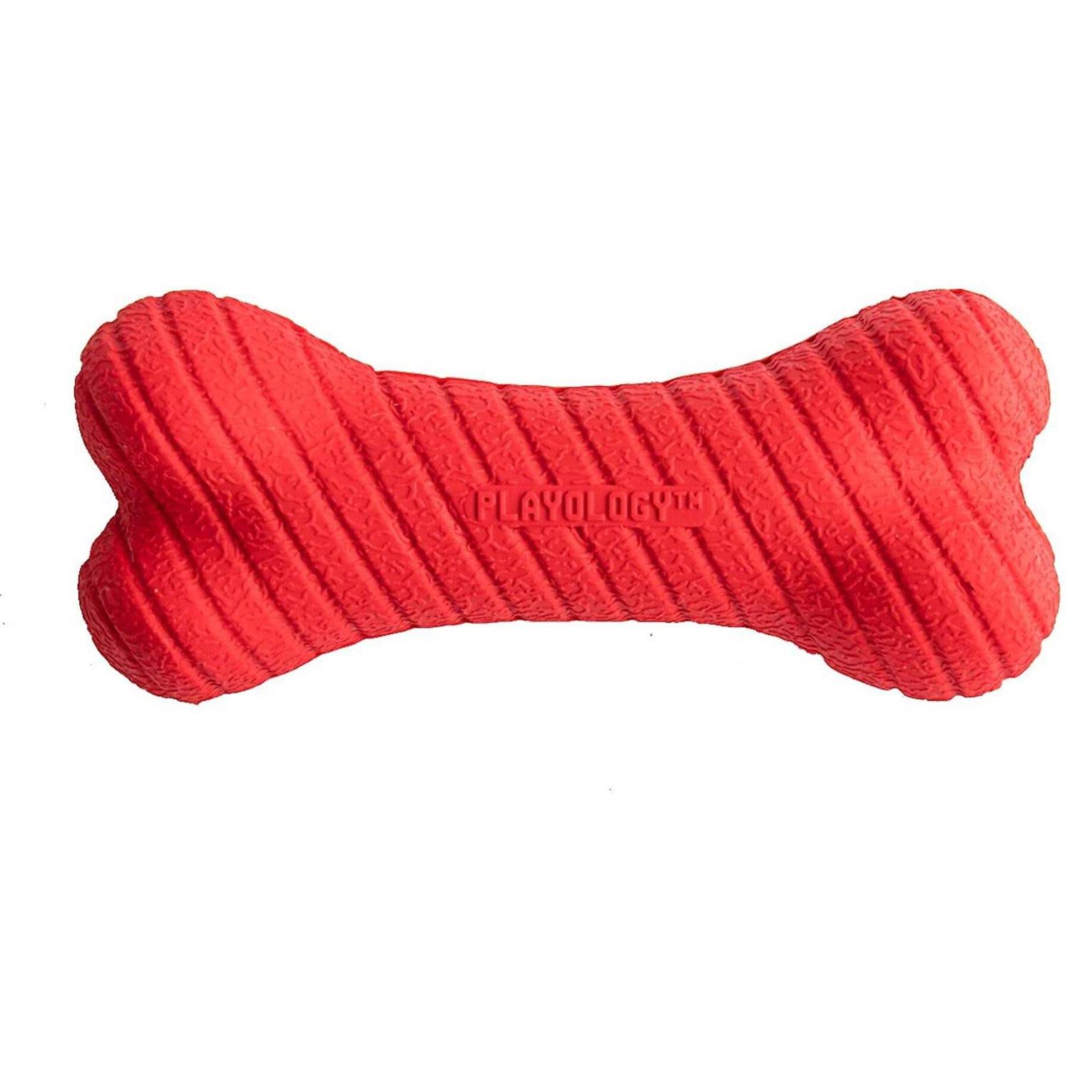 Playology Dual Layer Bone Dog Toy - Healthber