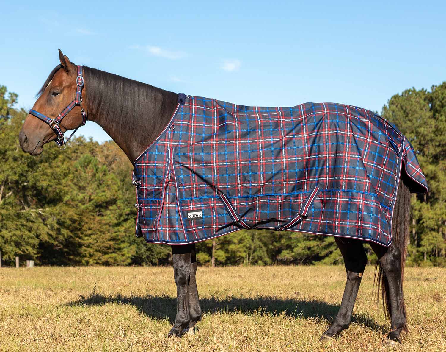 Poplar Head Origin 600 Denier Turnout Sheet, 0 Gram, Navy and Merlot Plaid - Healthber