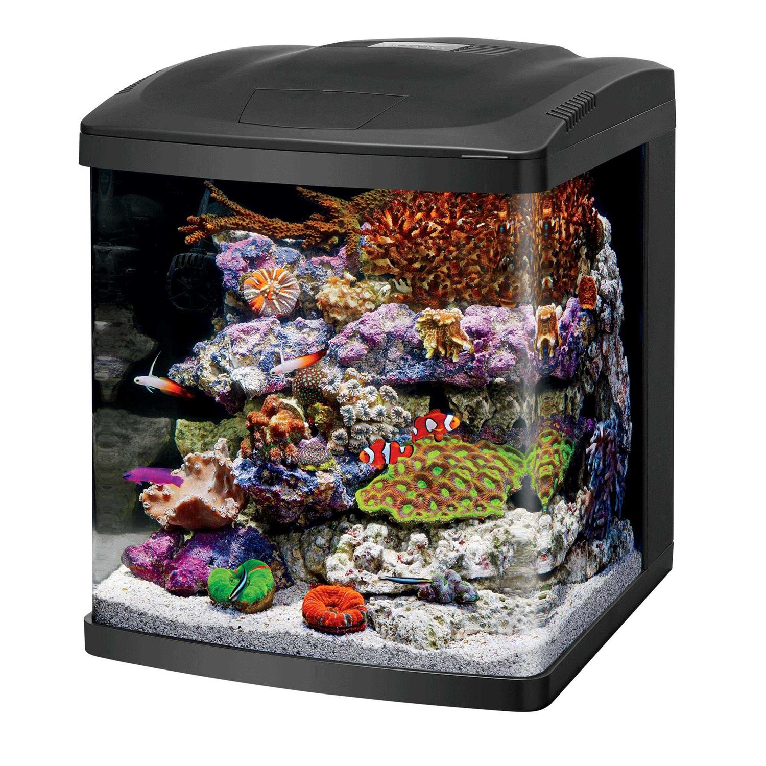 Coralife LED BioCube Aquarium Fish Tank Kit, 16 Gallon - Healthber