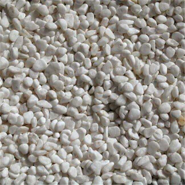 Exotic Pebbles Bean Pebbles - Healthber