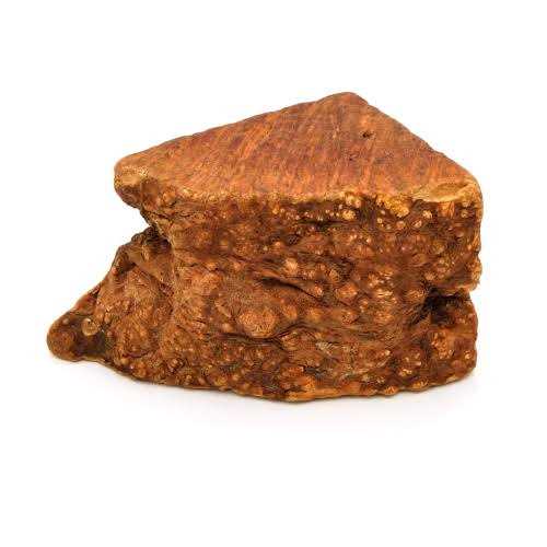 Little Loyals Premium Heather Tree Wood Dog Chew - Healthber