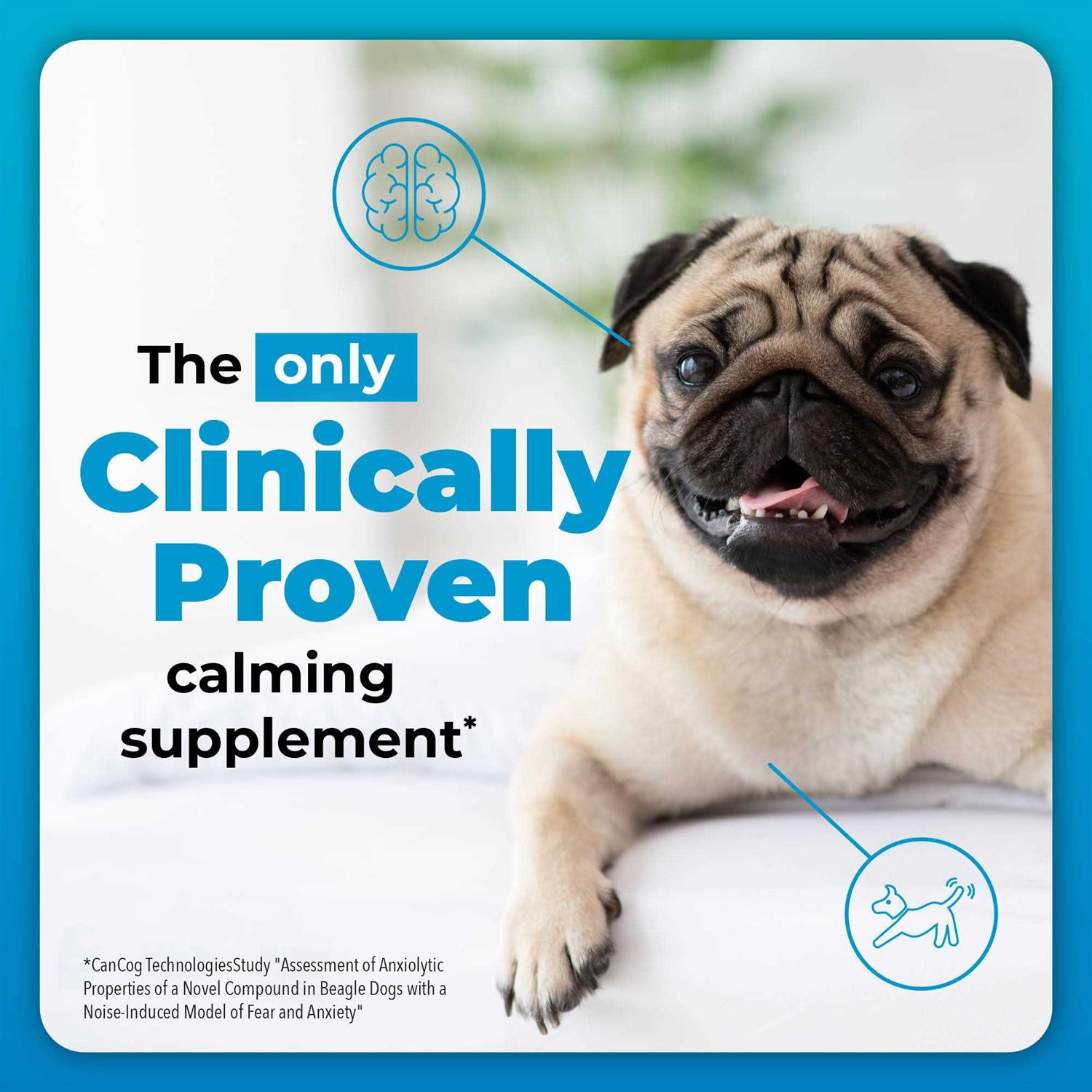 VetriScience Composure Calming Supplement for Dogs - Healthber