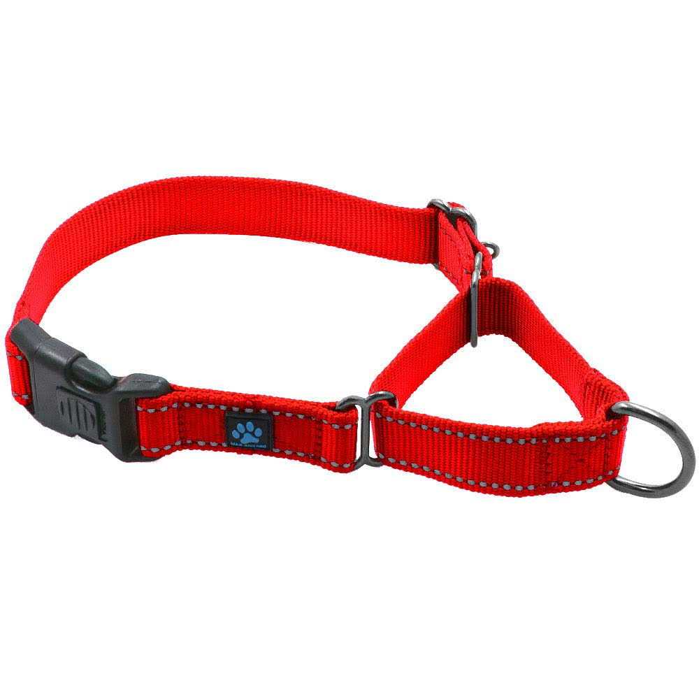 Max and Neo Nylon Martingale Collar We Donate a Collar to a Dog Rescue for Every Collar Sold - Healthber