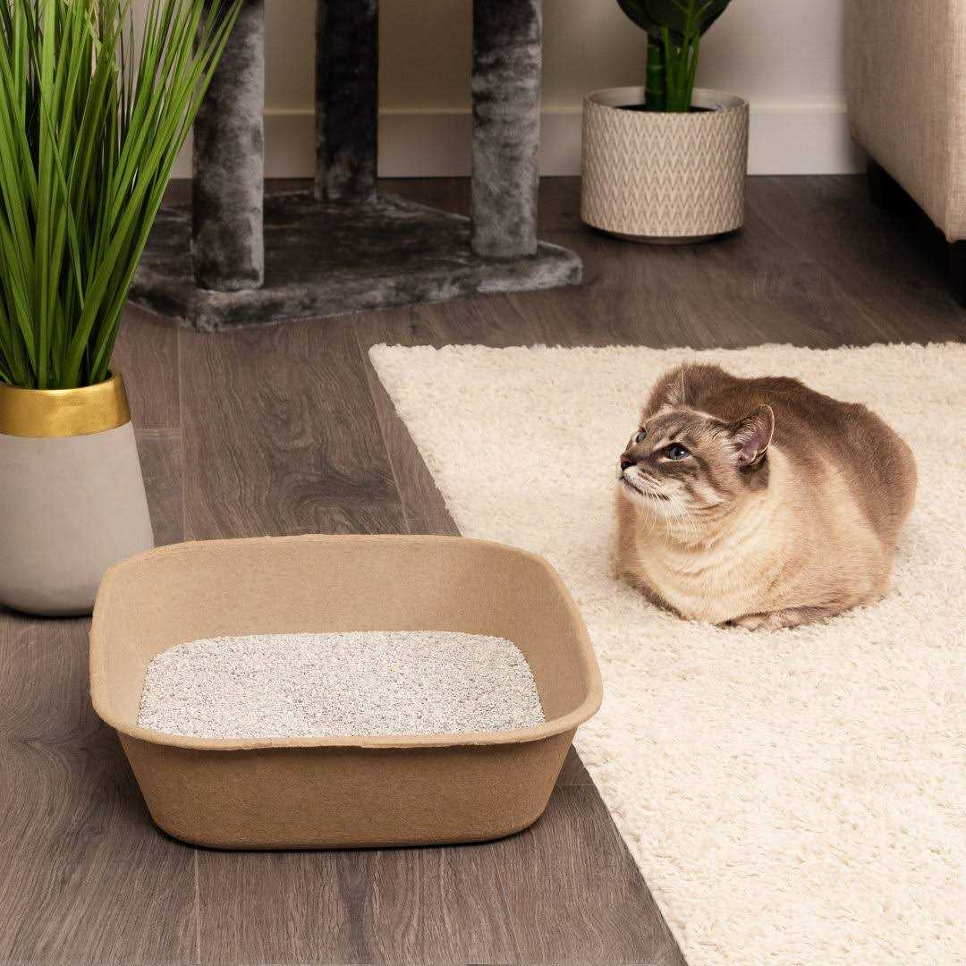 Kitty Sift Disposable Sifting Litter Box - Healthber
