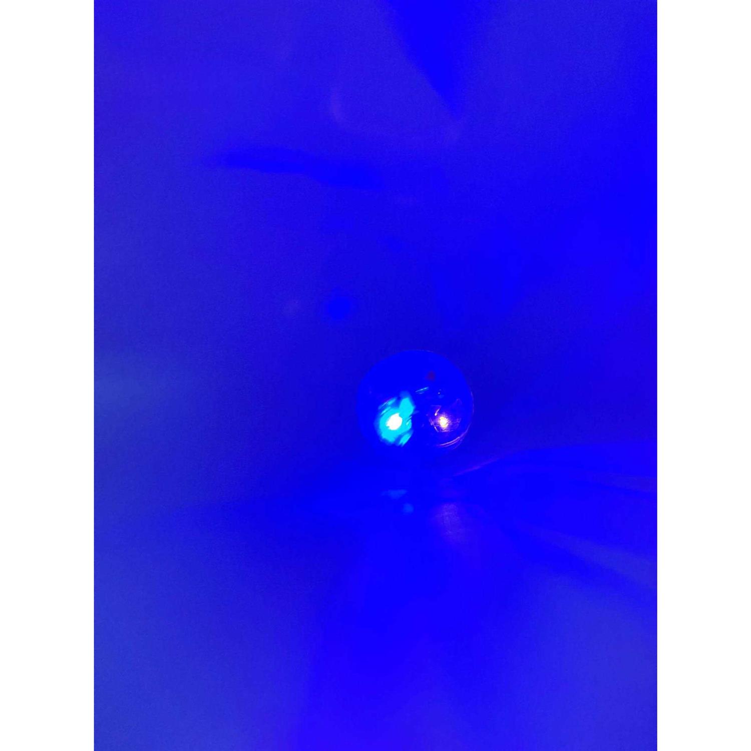 Spot LED Motion Activated Cat Ball - Healthber