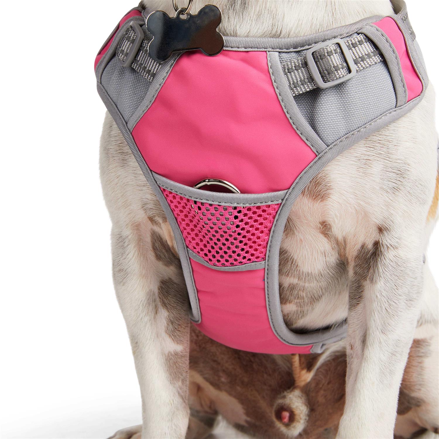 EveryYay Embrace The Pace Reflective Dog Harness - Healthber