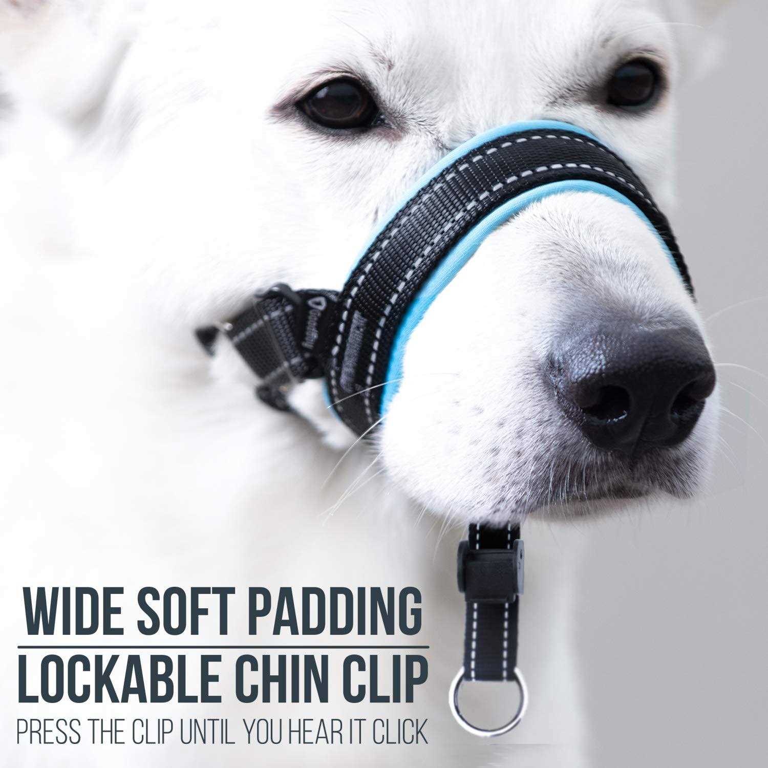 GoodBoy Dog Head Halter with Safety Strap Stops Heavy Pulling On The Leash - Healthber