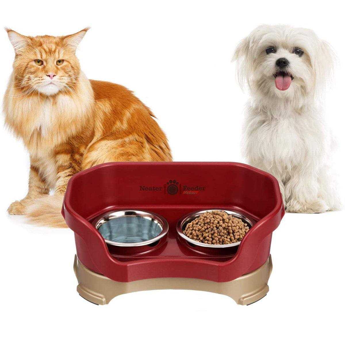 Neater Feeder Deluxe Dog - Healthber
