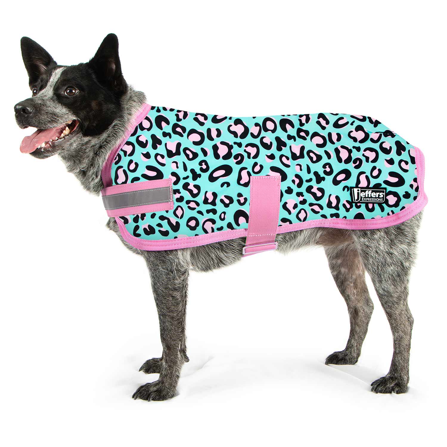 Expression Waterproof Ripstop Dog Coat, Party Cheetah - Healthber