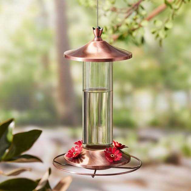 Hummingbird ElectroNectar Kaytee - Healthber