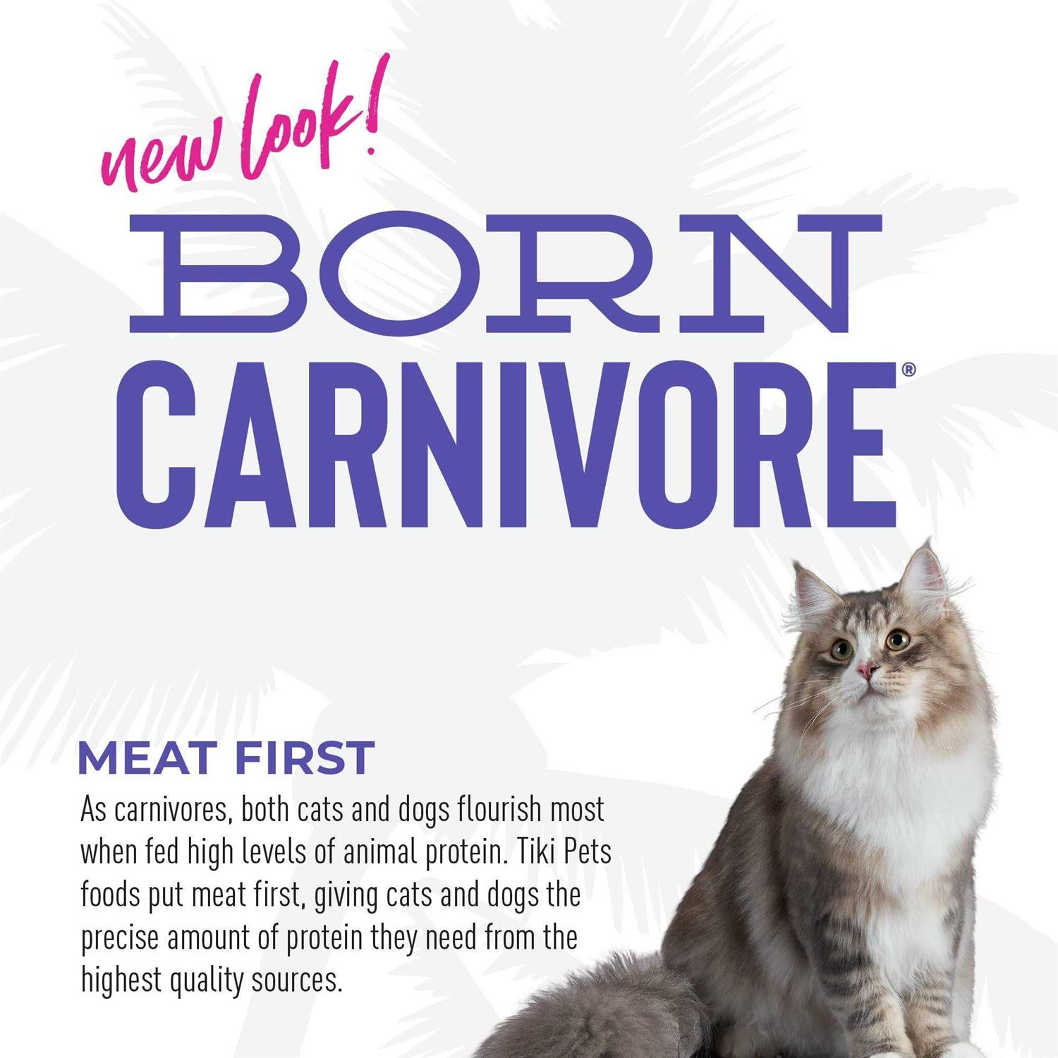Tiki Cat Born Carnivore Turkey Light Dry Food - Healthber
