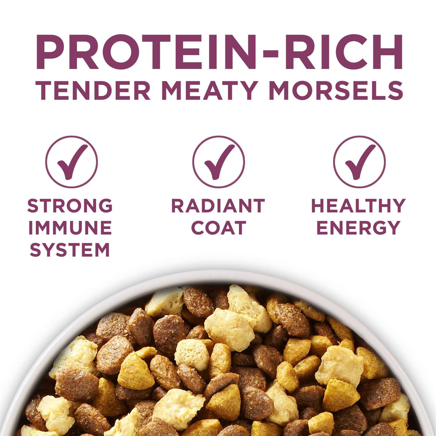 Purina ONE Healthy Puppy Formula High Protein Dry Dog Food - Healthber
