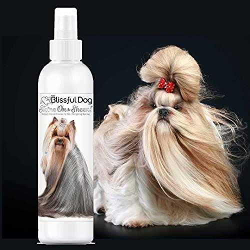 The Blissful Dog Shine-On + Sheen Coat Spray, All Natural, Leave-in Conditioner and Coat Detangler for Your Dog - Healthber