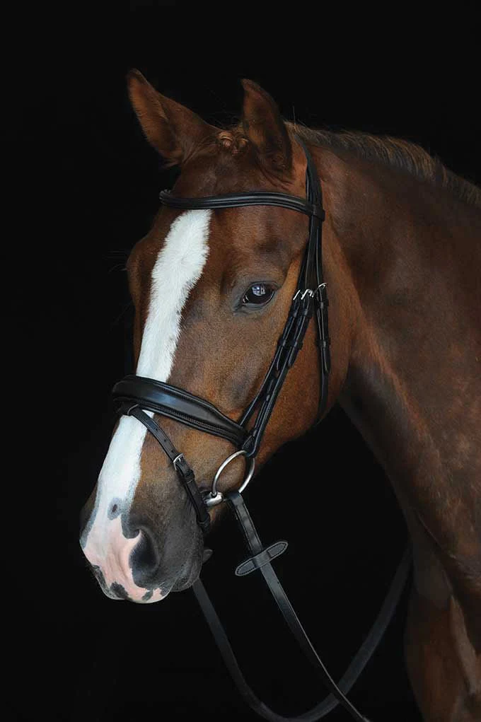 Collegiate Mono Crown Padded Raised Flash Bridle - Healthber