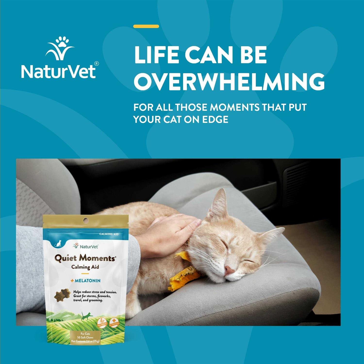 NaturVet Quiet Moments Calming Aid Plus Melatonin Cat Soft Chews - Healthber