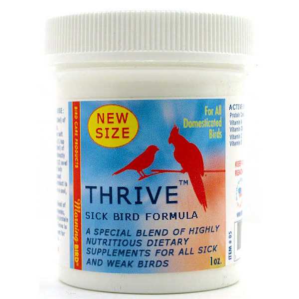 Morning Bird Thrive - Healthber