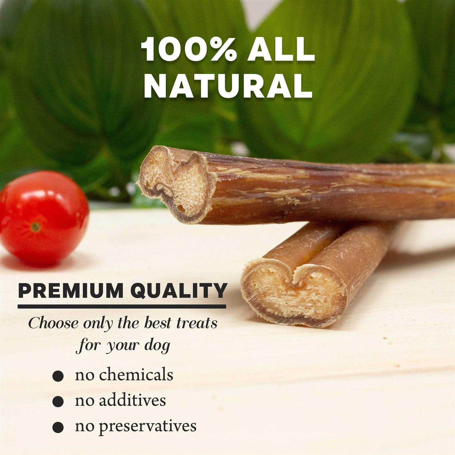 Downtown Pet Supply Bully Sticks Dogs - Healthber