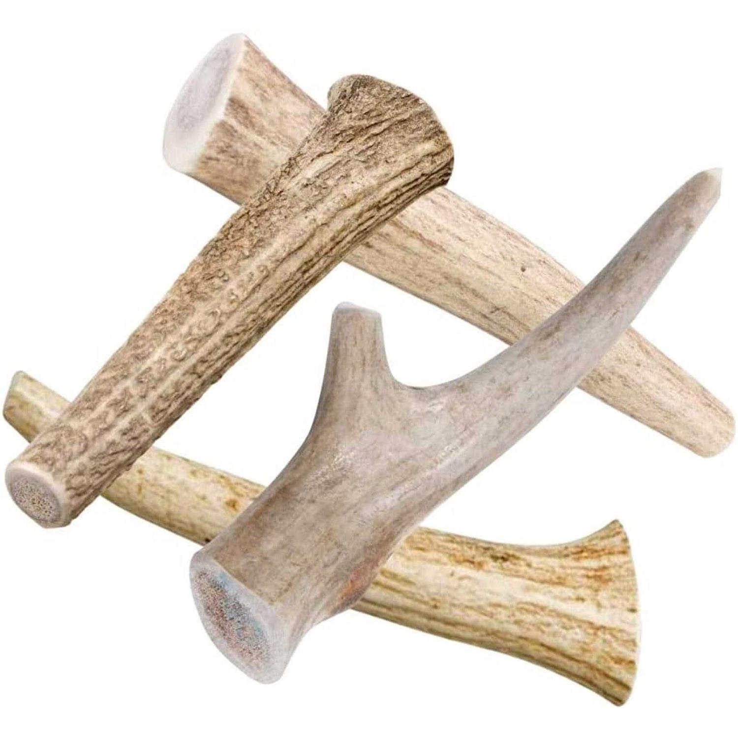 Hotspot Pets All Natural Whole Deer Antler Dog Chew Treats - Healthber